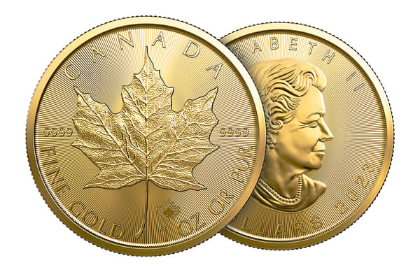 enu-2023-1-oz-Gold-Maples-Tube-10-coins-MintFirst-3110MFT2023-50000-2